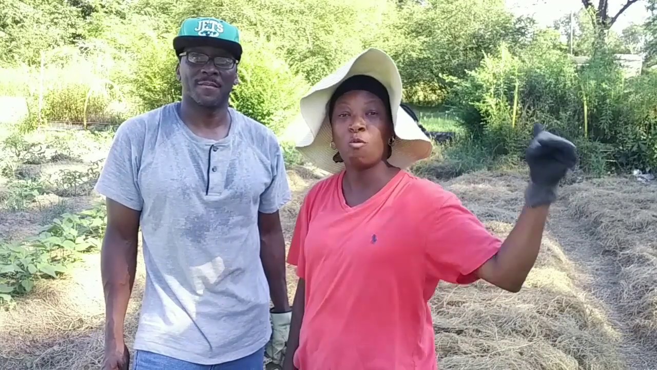 PLANTED CORN In TRENCHES - We Love This Method!