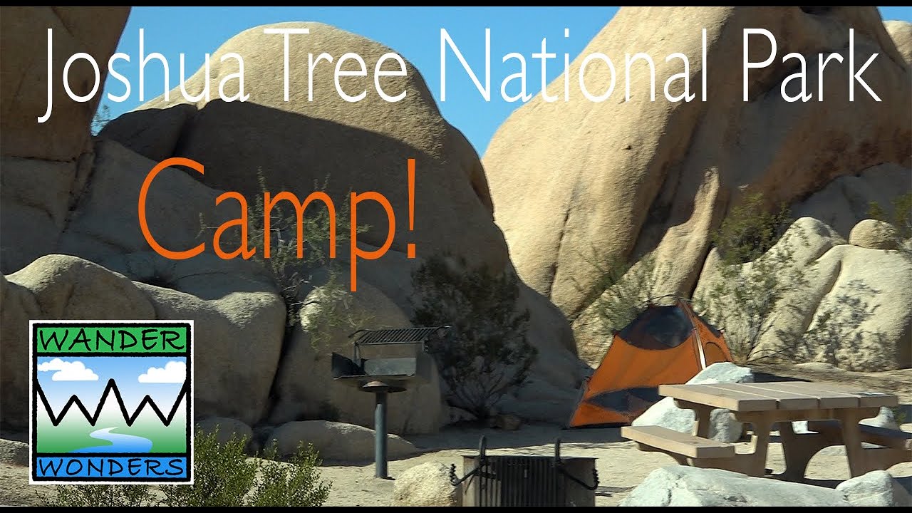 See Why Joshua Tree Campgrounds Are So Much Fun!