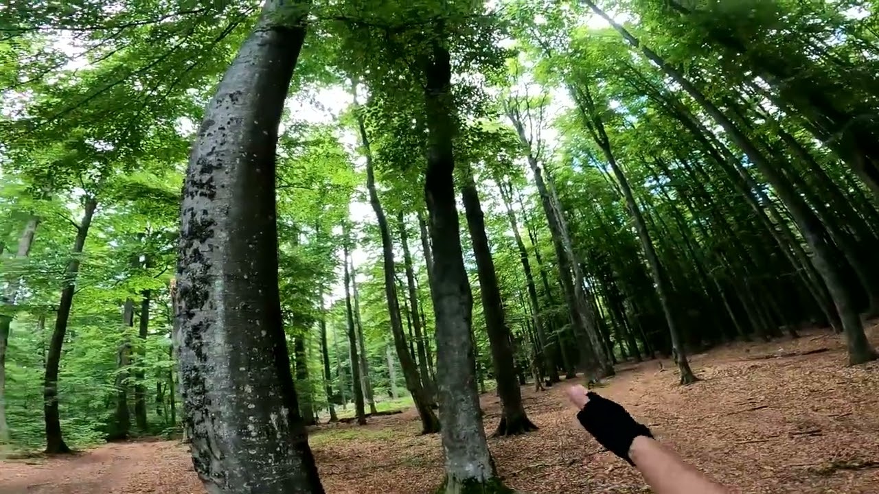 Back To Semenic | Riding the hidden trail in the forest