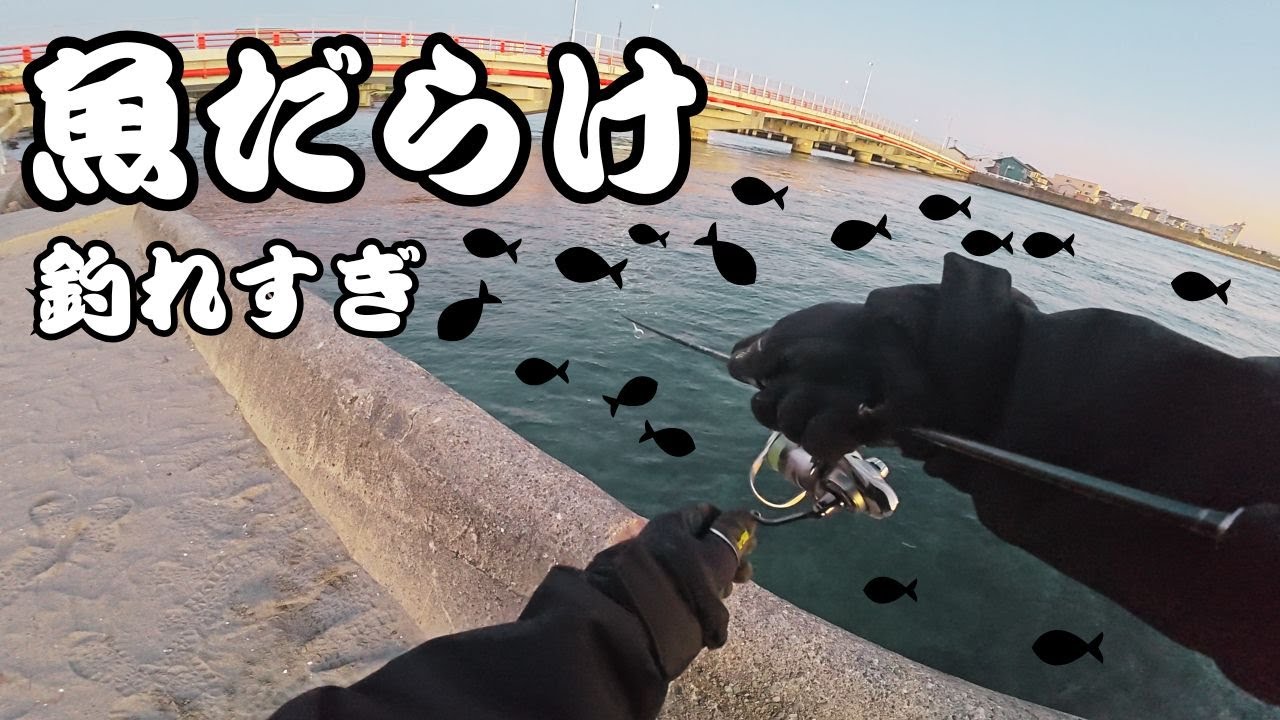 【浜名湖】真冬のライトゲームが楽しすぎてやめられない・・・