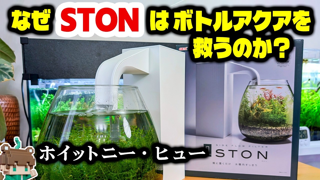 【最速レビュー】ボトルアクアの救世主？STON という新タイプろ過フィルターを実際に使ってみたレビュー！【ビバアクア】#ストン #ston #アクアリウム #熱帯魚