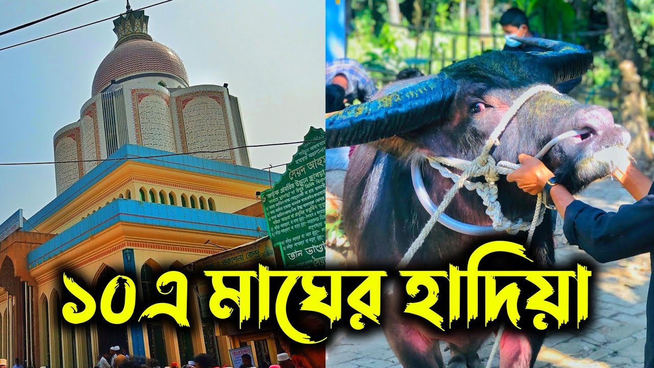 হযরত আহমদ উল্লাহ (কঃ) এর ১১৫তম ওরশ উপলক্ষে হাদিয়া নিয়ে মওলার কদমে হাজিরা।