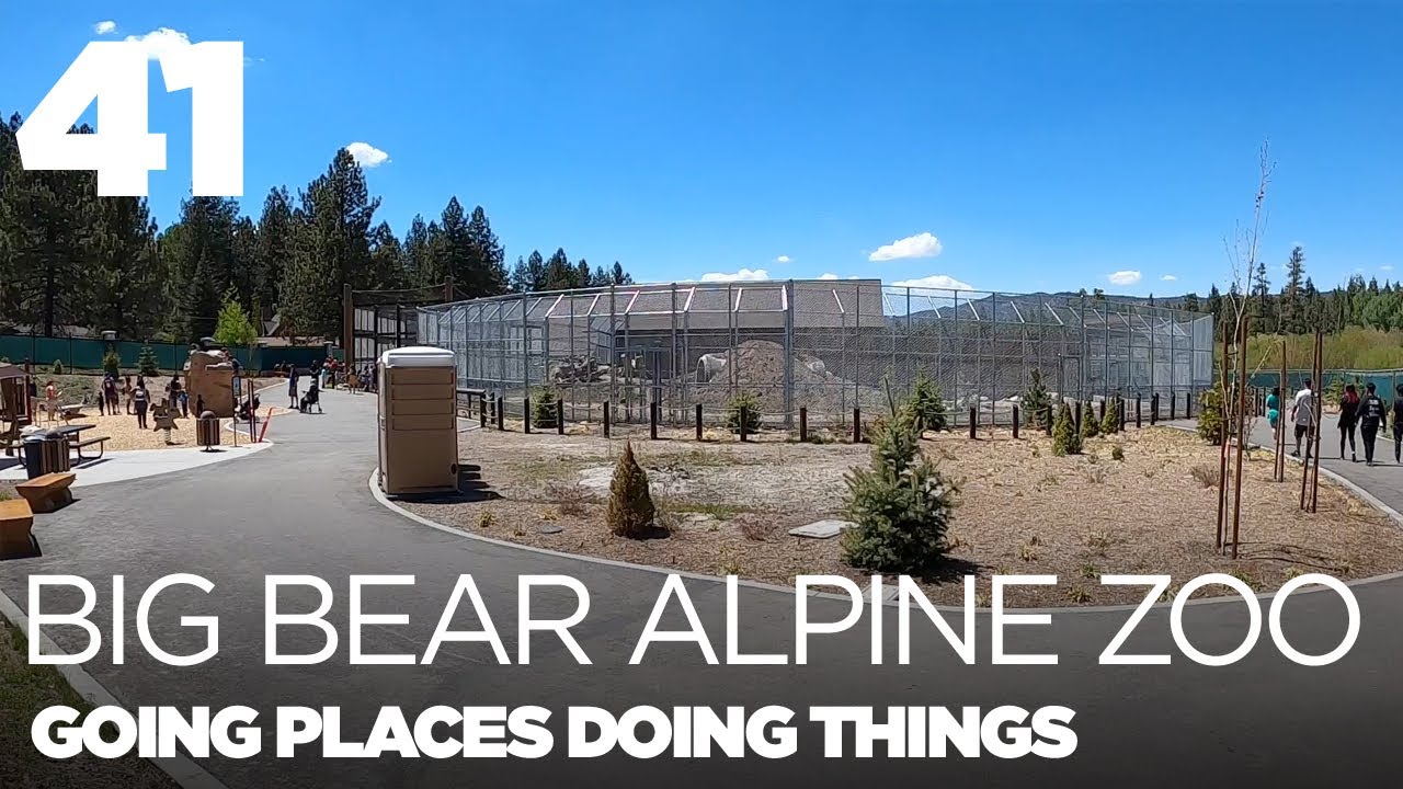 Big Bear Alpine Zoo &mdash; GPDT 41