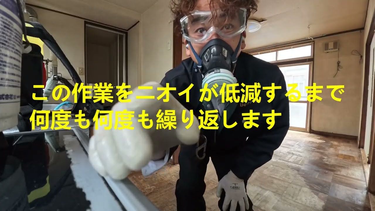 ネコのオシッコ臭を消す動画