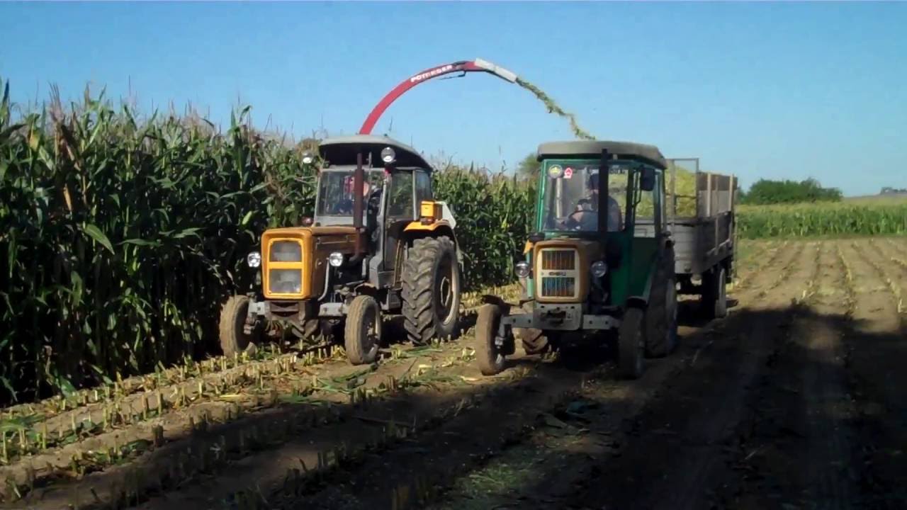 Kiszonka z kukurydzy 2016 2x URSUS & ZETOR