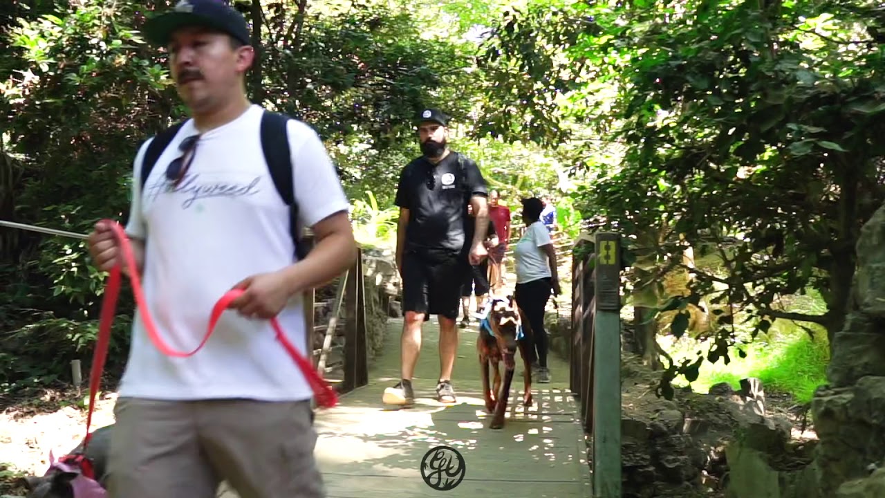 Talk & Hike w/ Greenhouse Herbal Center