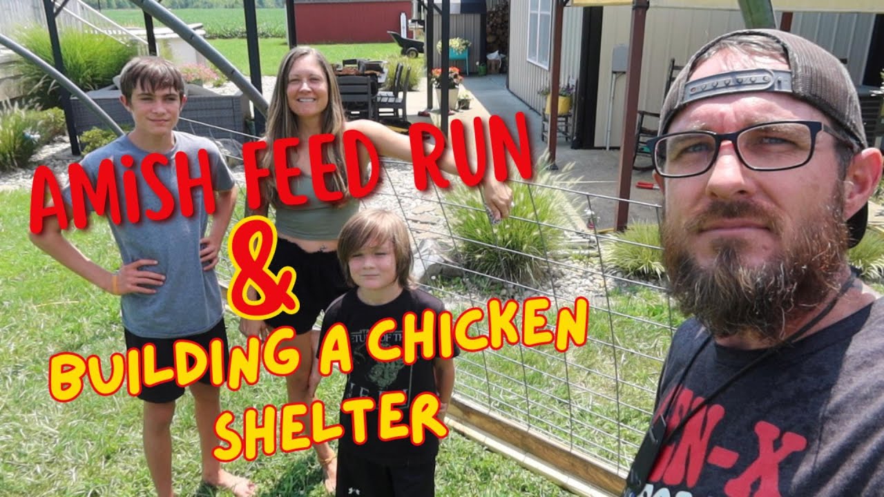 AMISH FEED RUN & BUILDING A CHICKEN SHELTER OUT OF REPURPOSED MATERIALS ON THE FARM