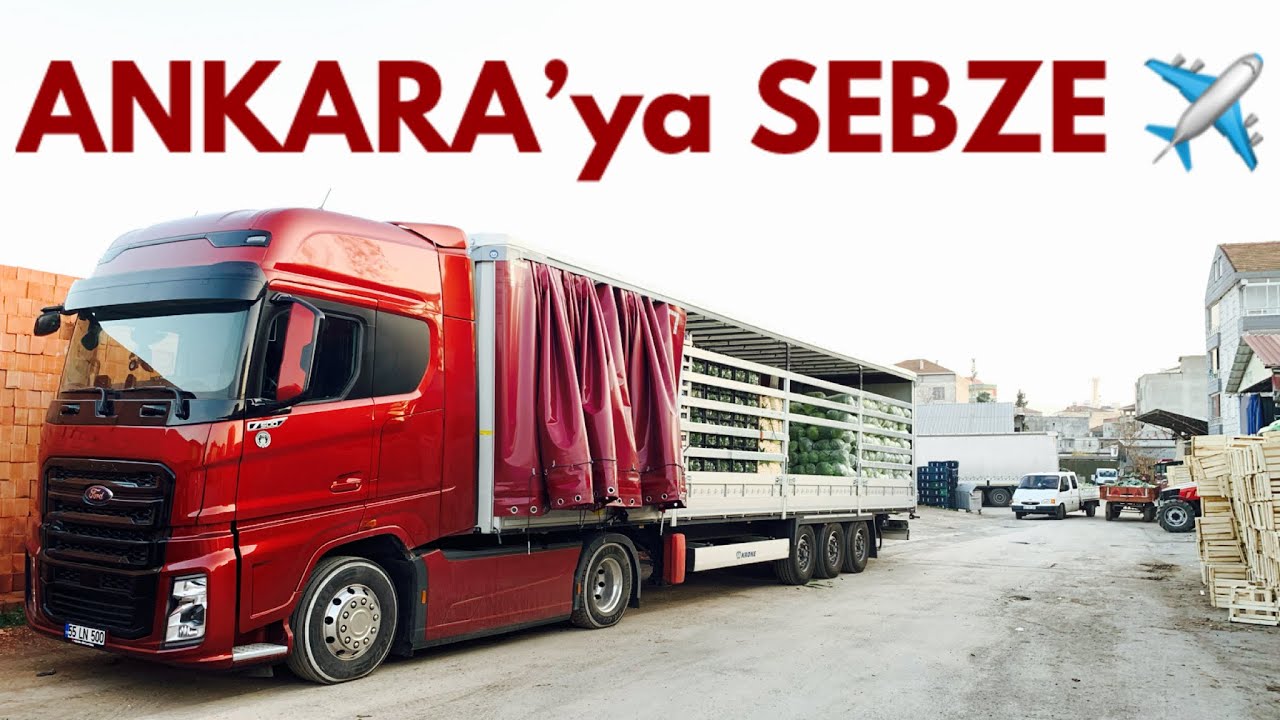 ANKARA'ya SEBZE Götürüyoruz / Neden Yollarda Değildim / Jako Papağanı / Sohbet Muhabbet