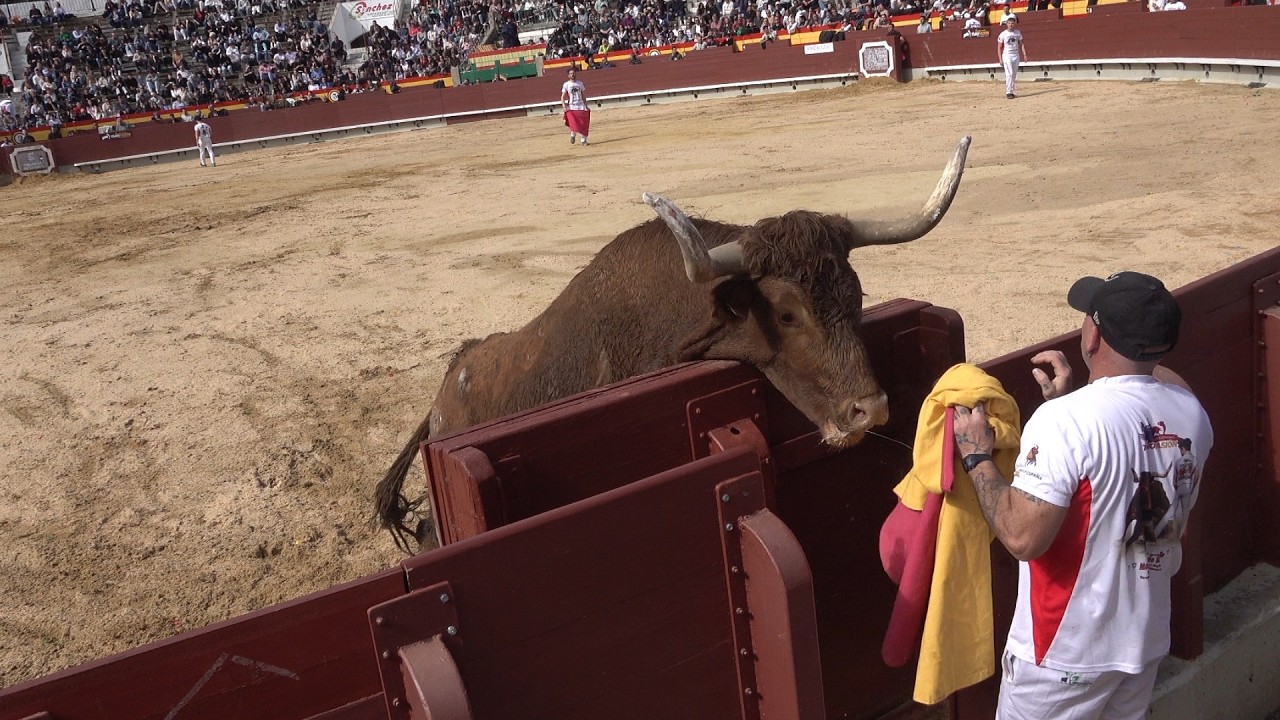 Castellon 2026 Maestros de la calle,clasificatorias,Arriazu,RESUMEN