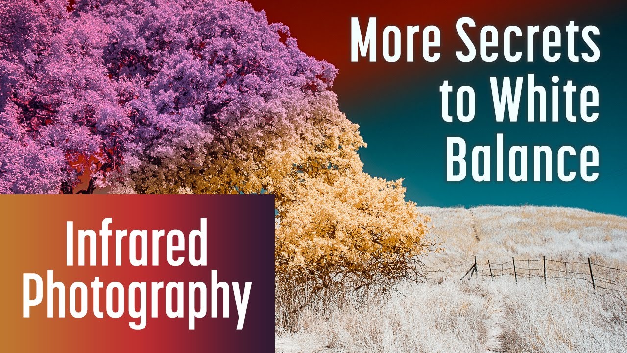 More Secrets to White Balance in Infrared Photography