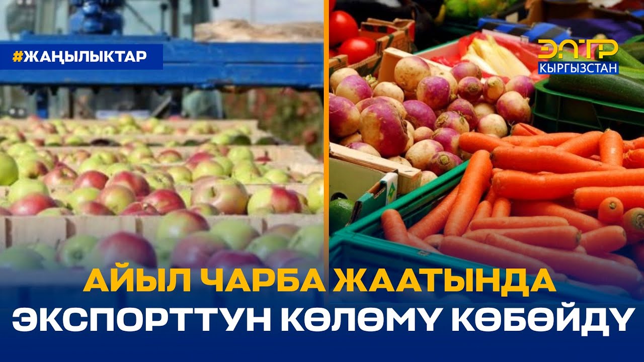АЙЫЛ ЧАРБА ЖААТЫНДА ЭКСПОРТТУН КӨЛӨМҮ КӨБӨЙДҮ