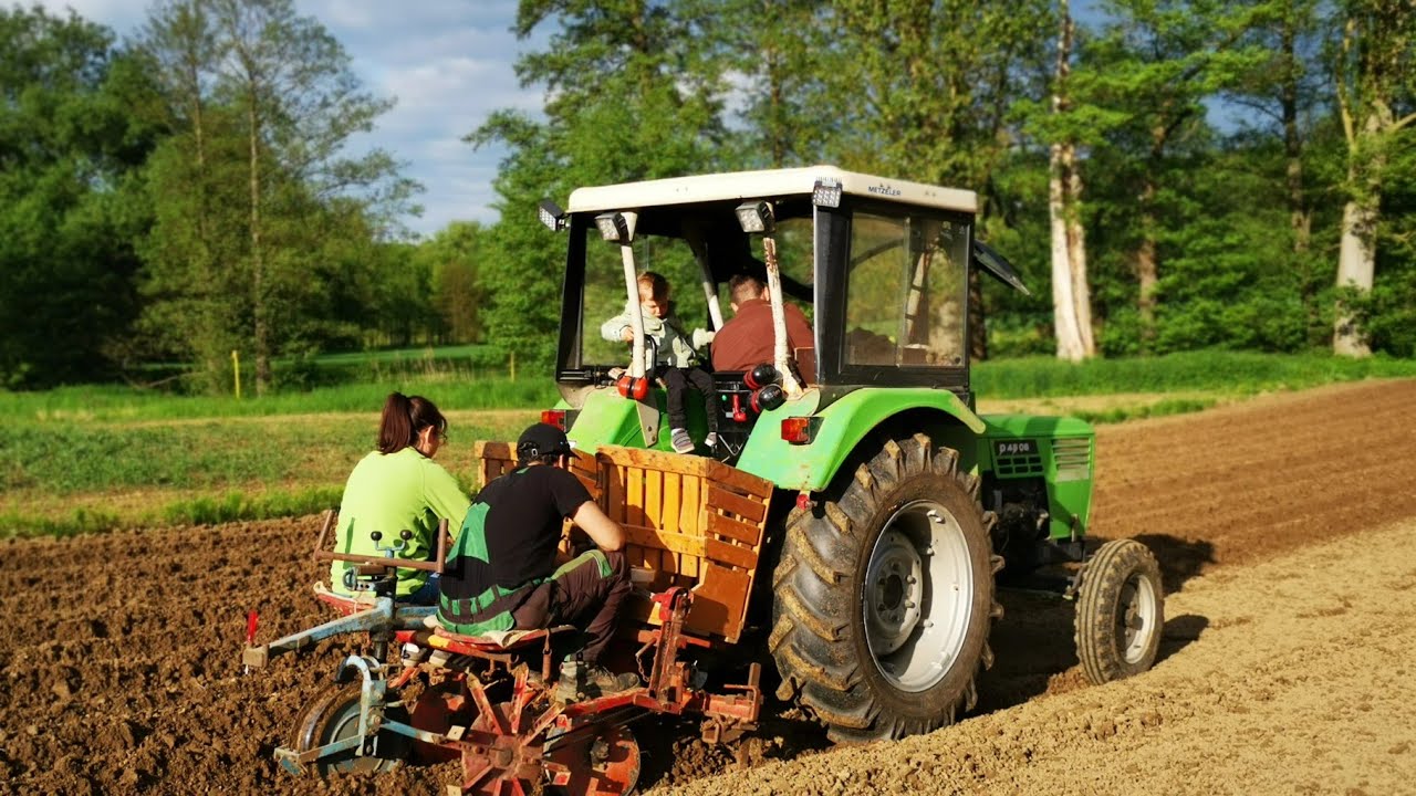 Kartoffellegen 2023, Deutz 4506 mit Rau Kombi