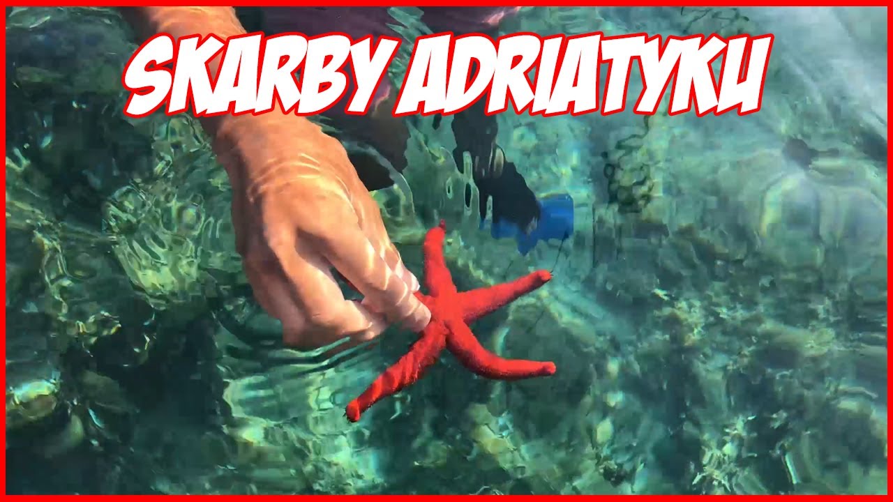 ROZGWIAZDA W ADRIATYKU & ZWIEDZAMY ŠIBENIK! | VLOG #27