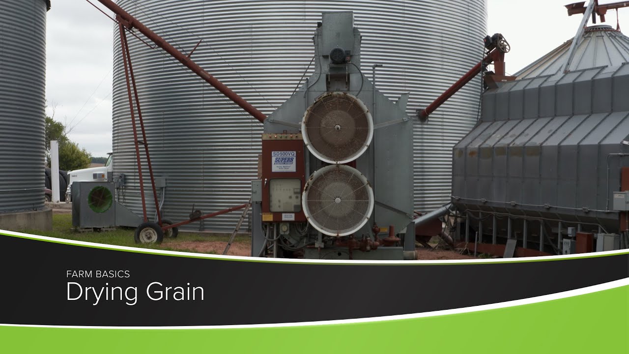 Drying Grain