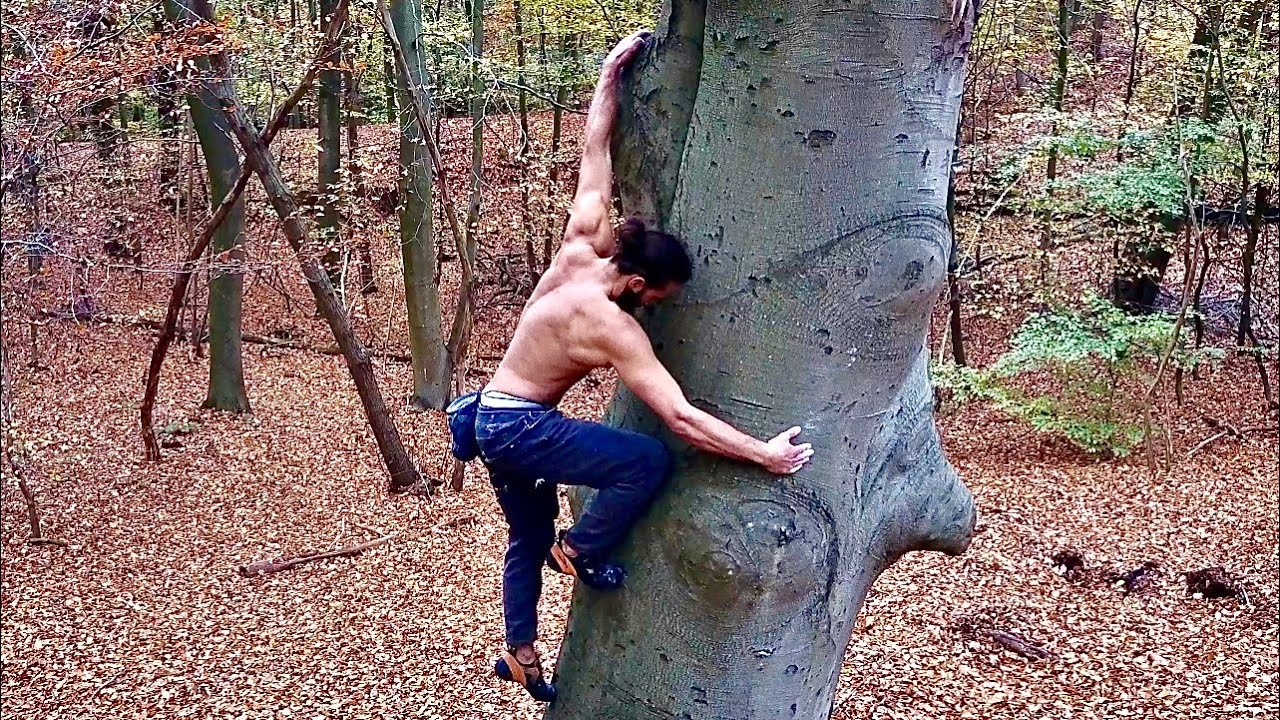 JE GRIMPE N’IMPORTE QUEL ARBRE!