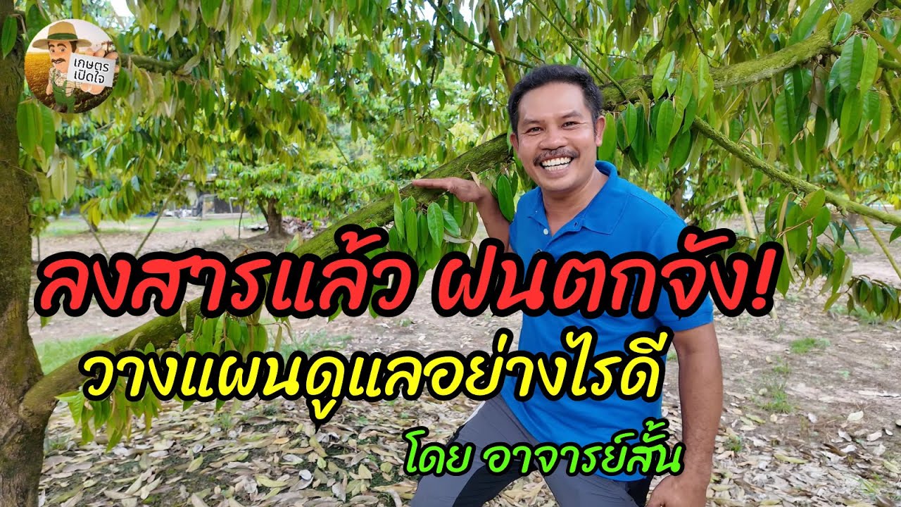 ลงสารแล้ว ฝนลงเยอะ จะทำอย่างไร ดูแลกันยังไงต่อดี