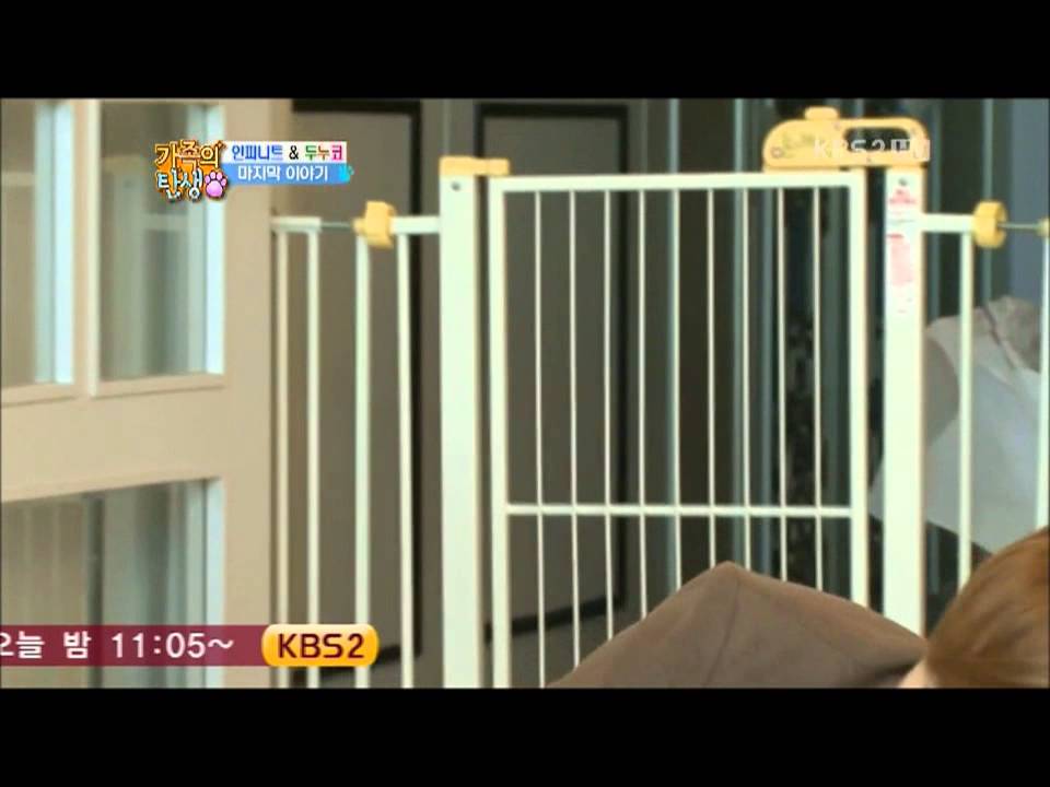 인피니트(infinite) 성규의 가로본능