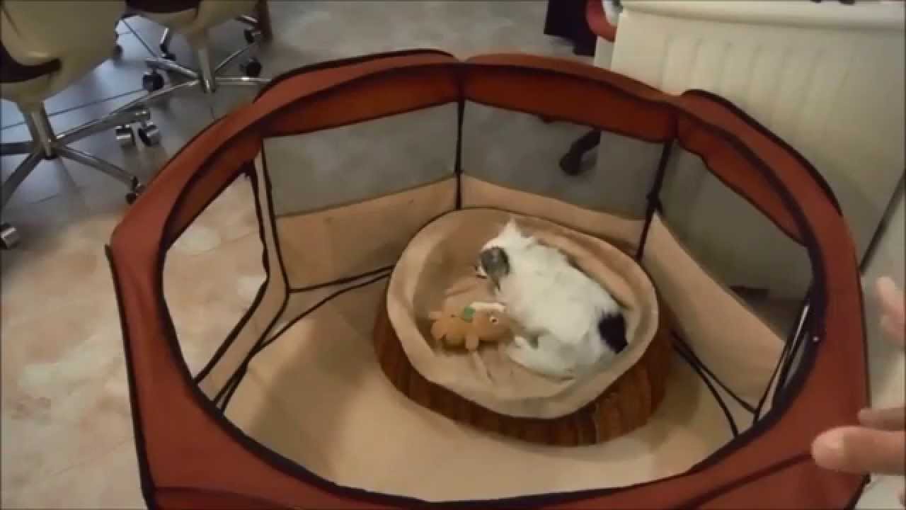 REVIEW of Pet Playpen for Travel - See other video for FOLD UP instructions