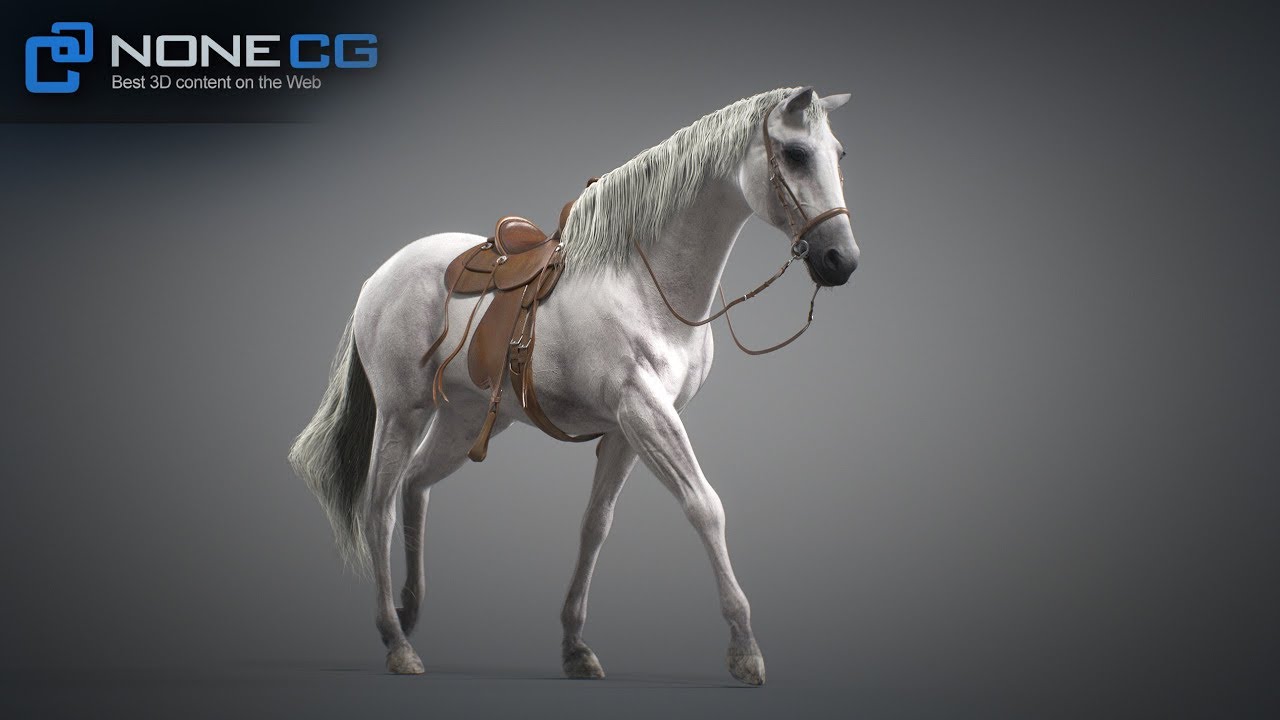3D Horse Maya Walk Loop
