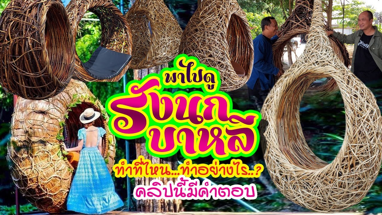 พาไปดู รังนกบาหลี ทำที่ไหน...ทำอย่างไร..? คลิปนี้มีคำตอบ..!!!