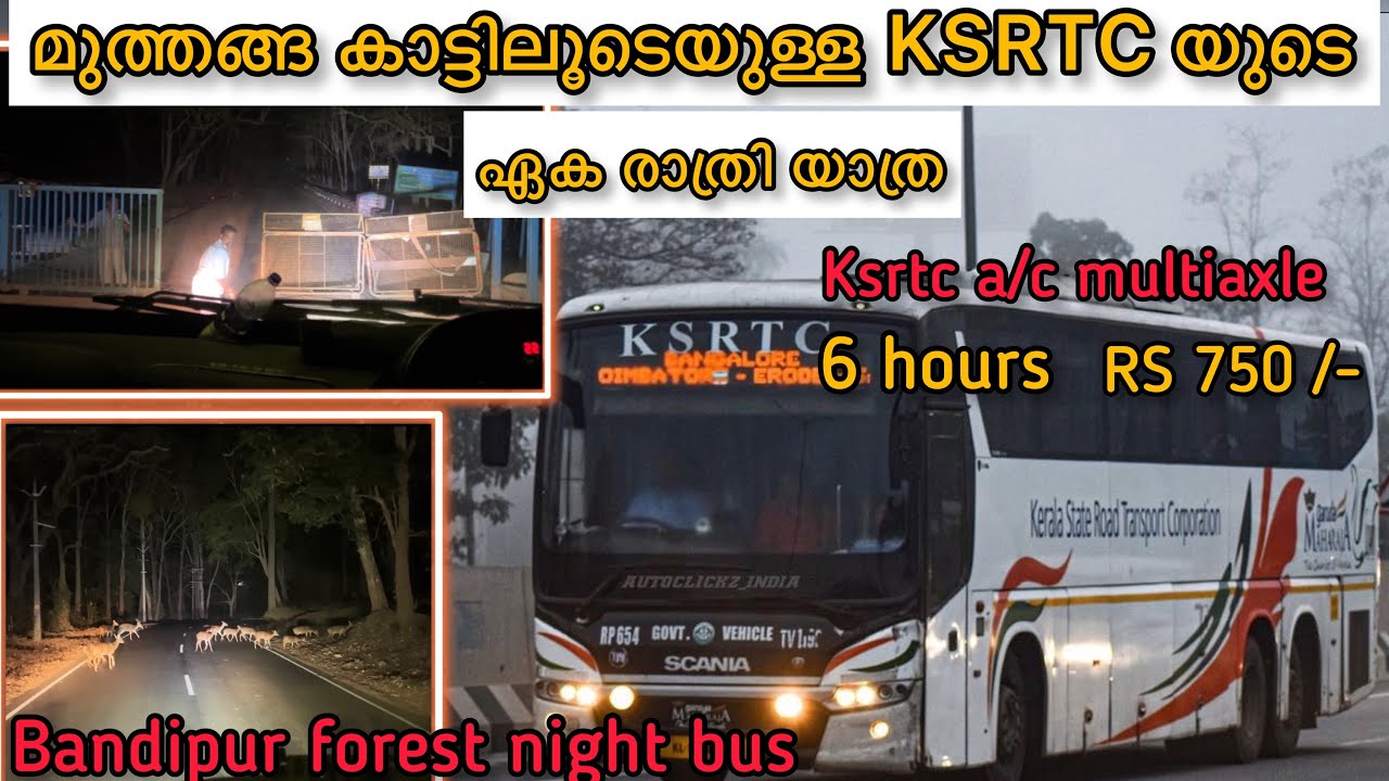 മുത്തങ്ങ കാട്ടിലൂടെയുള്ള KSRTC യുടെ  ഏക രാത്രി യാത്ര | trivandrum bangalore via muthanga forest