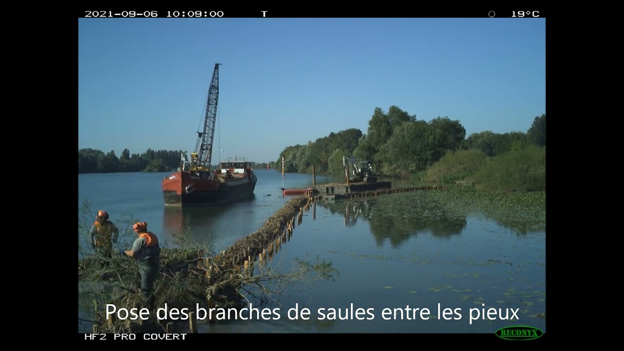 Timelapse - Restauration du franc-bord de Bougerot (71) - Installation d'un barrière anti-batillage