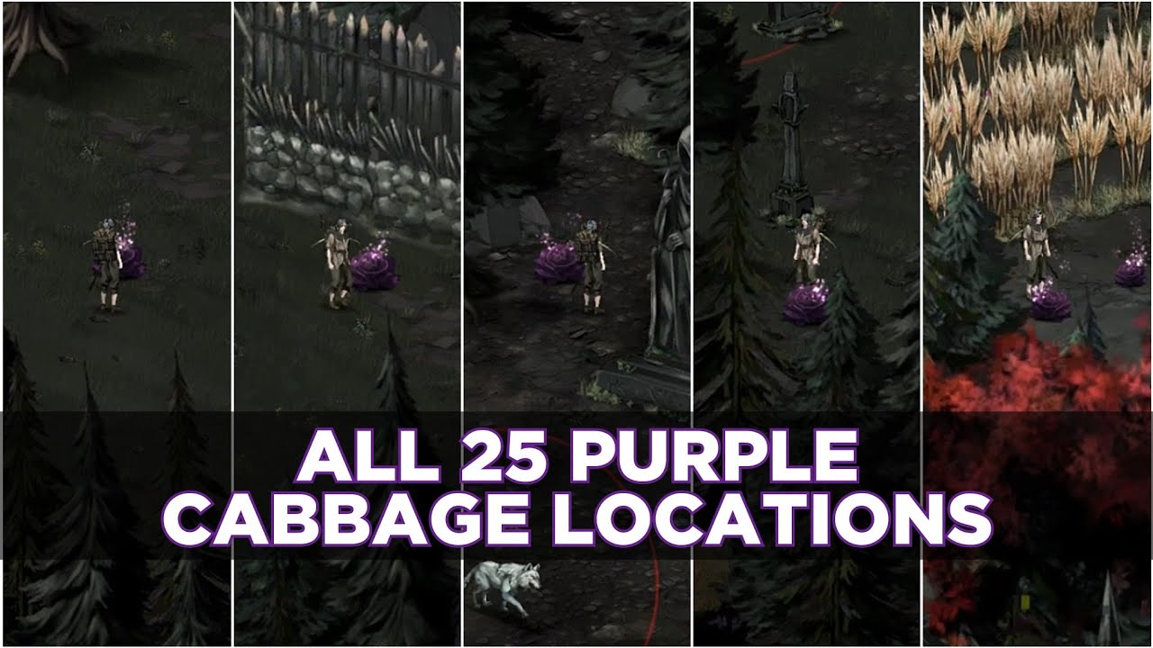 All Wild Cabbage Locations - Vampire's Fall: 2