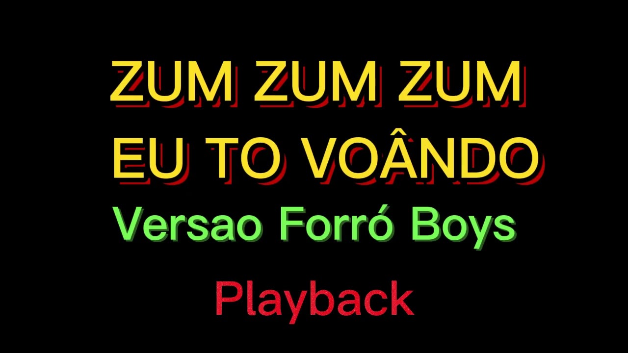 ZUM ZUM ZUM EU TO VOÂNDO - VERSAO FORRÓ BOYS (PLAYBACK)