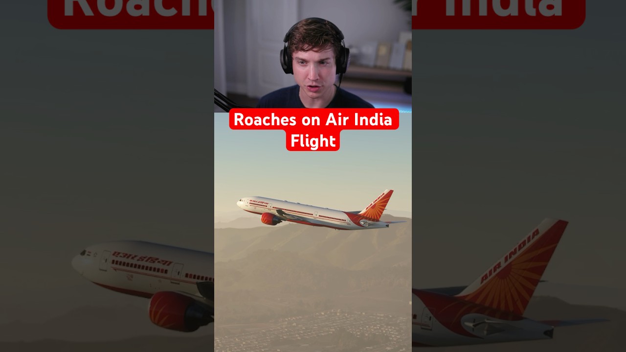 Тараканы на рейсе Air India