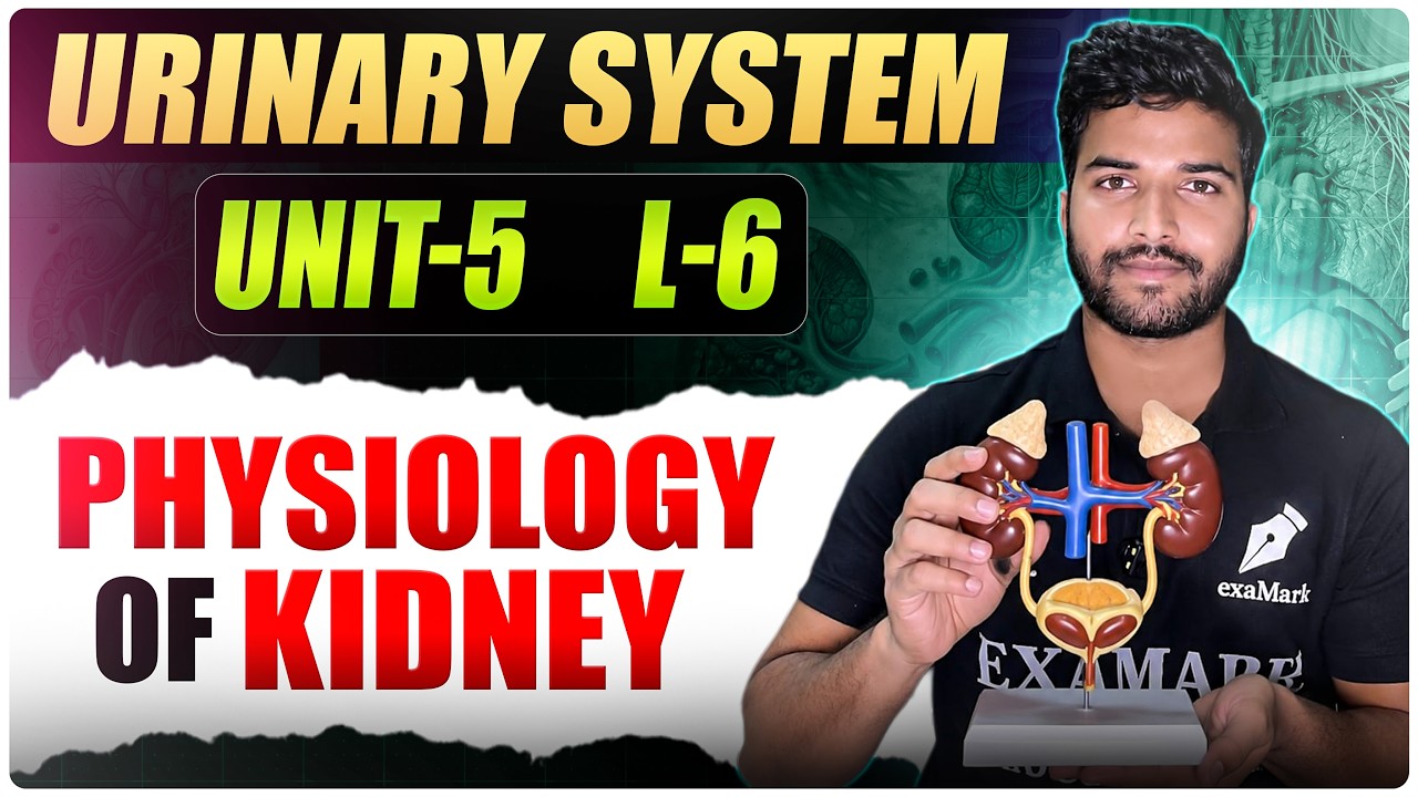 Physiology of Micturition || L-6 || Urinary System || Anatomy and Physiology || BSC nursing 