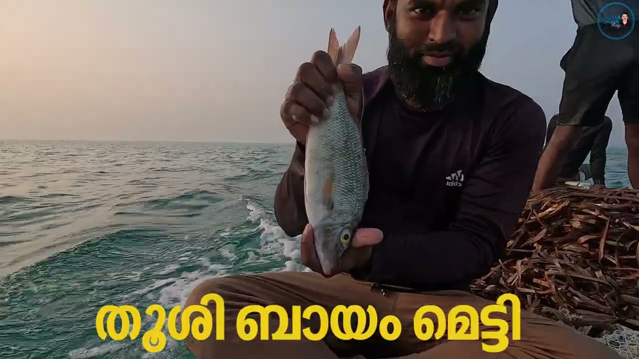 ലക്ഷദ്വീപിൽ ഇ മീനുകളുടെ പേരുകൾ ഇങ്ങനെയാണ് 🐟😍 #lakshadweep #fishing #lagoonfish 