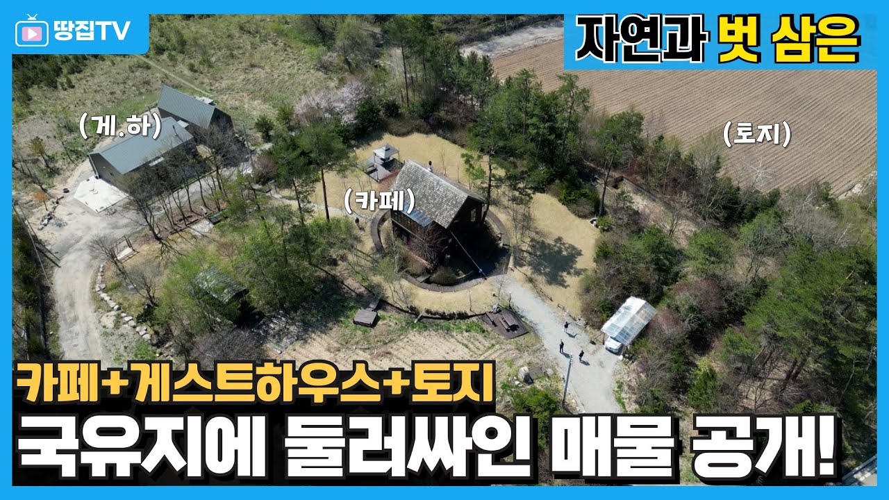개발 걱정 없는 국유지 한 가운데 숲 속 감성의 카페+게스트하우스+토지 물건입니다. #속사리 카페 #속사리 #게스트하우스 #평창 게스트하우스 #숲속카페