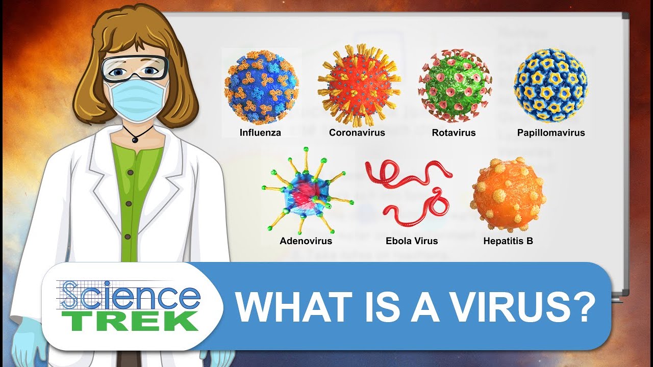 Viruses: What is a Virus? | Science Trek