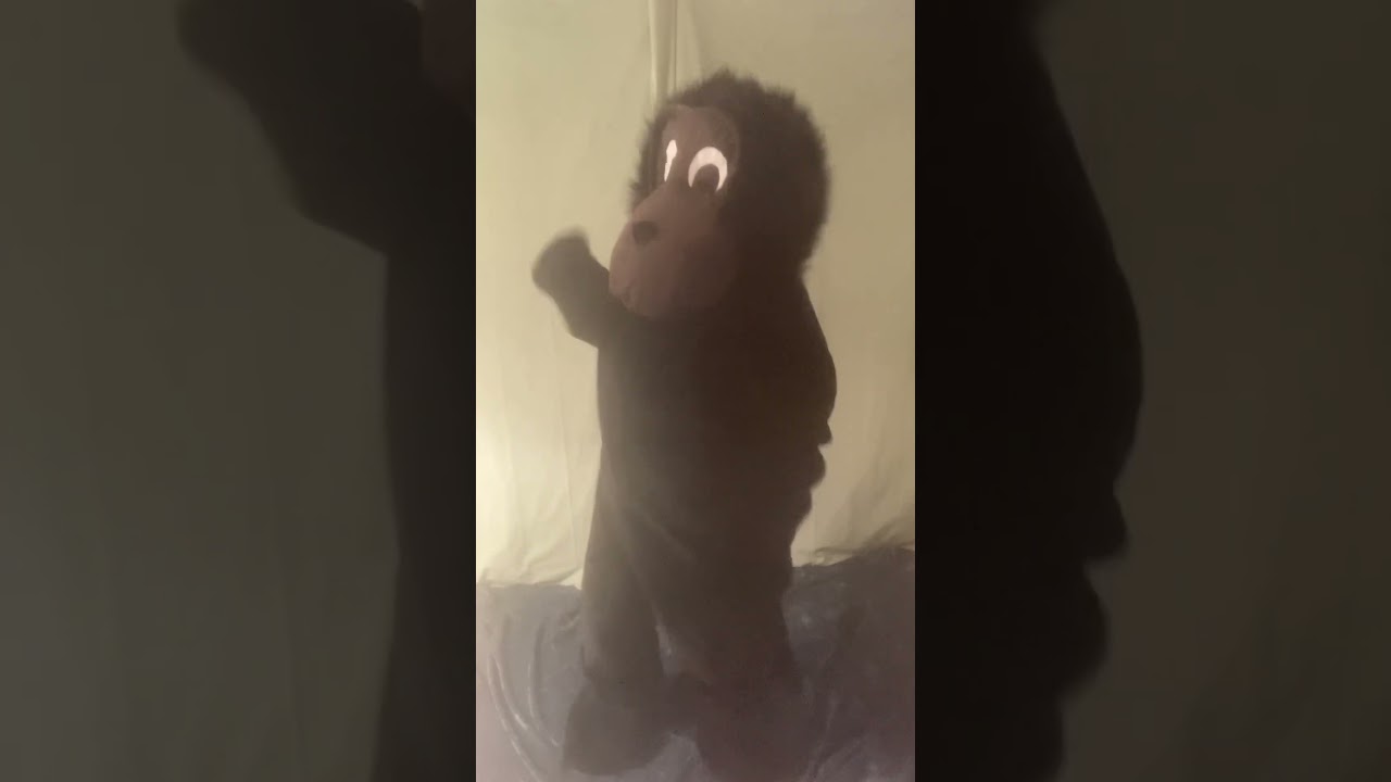 #monkey