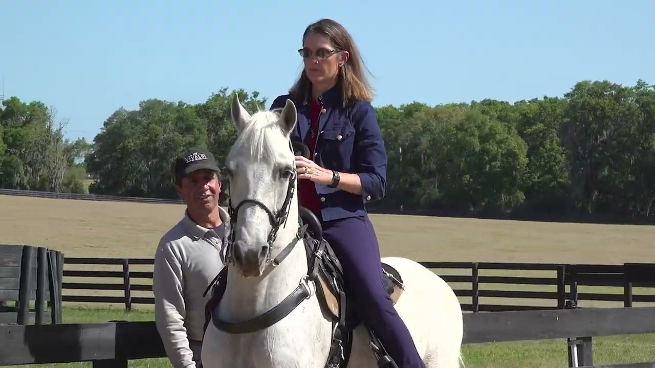 Professional Trainer test rides Paso Fino - Classic Fino Horses and explains how to ride
