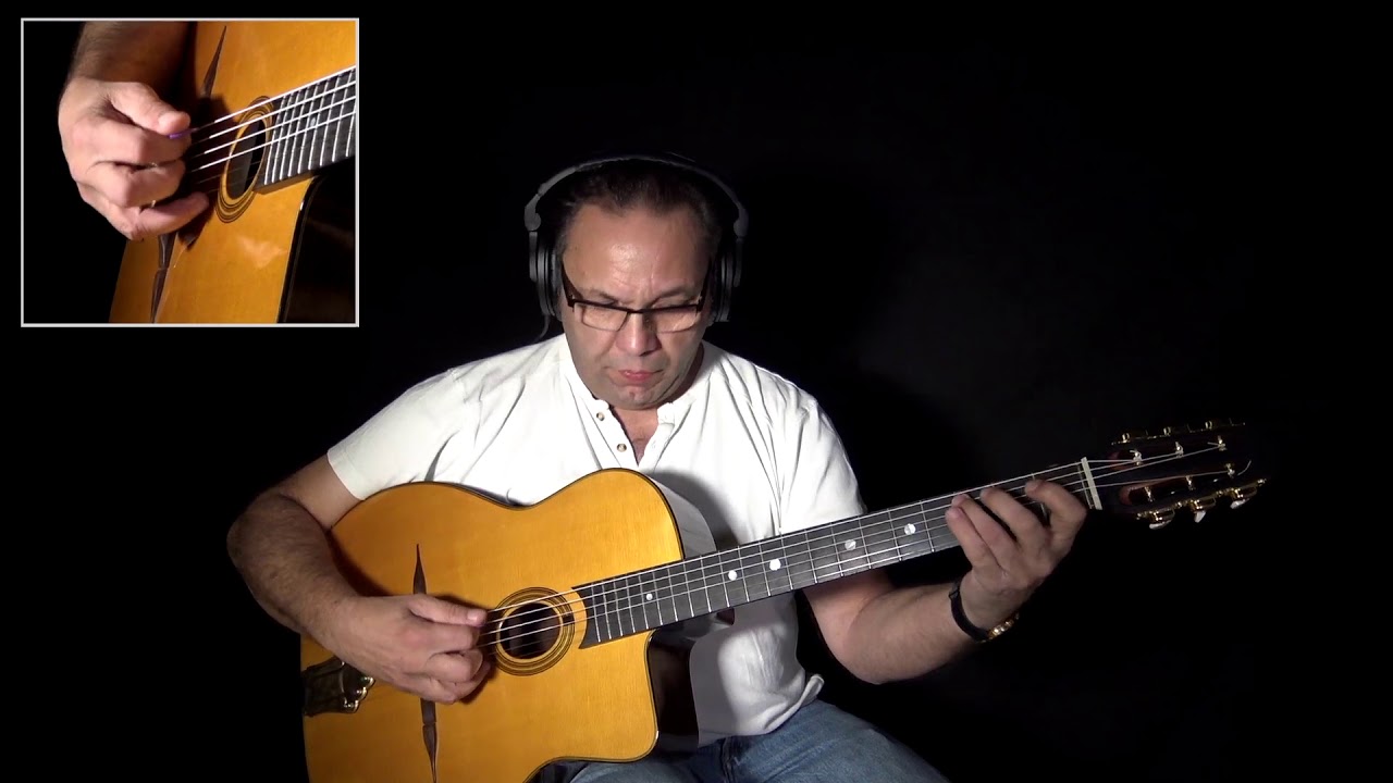 Bireli Lagrene - After You've Gone ( Gypsy Jazz Guitar Solo )