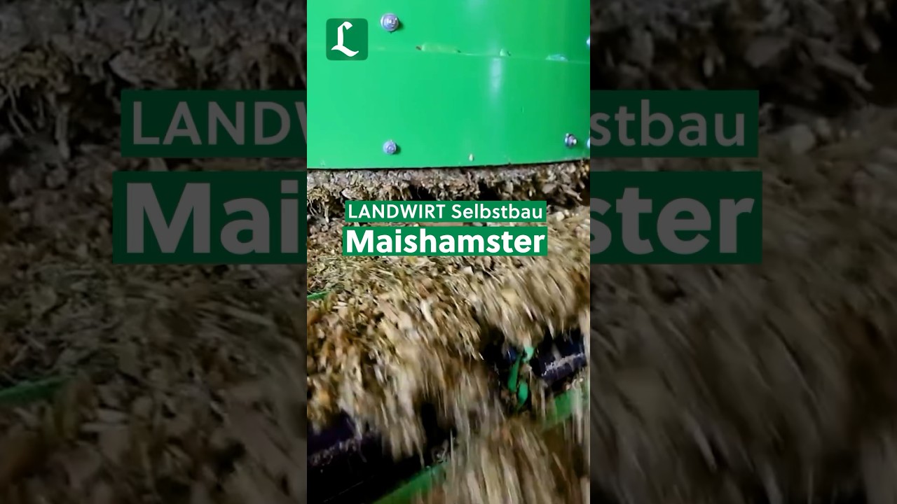 Wie der selbst gebaute Maishamster am Siloballen knabbert | landwirt-media.com #shorts
