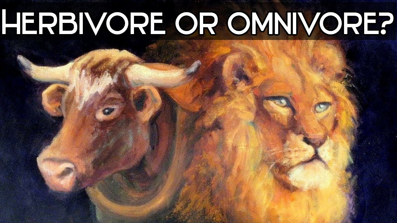 Are Humans Made To Eat Meat? (Science Explained)