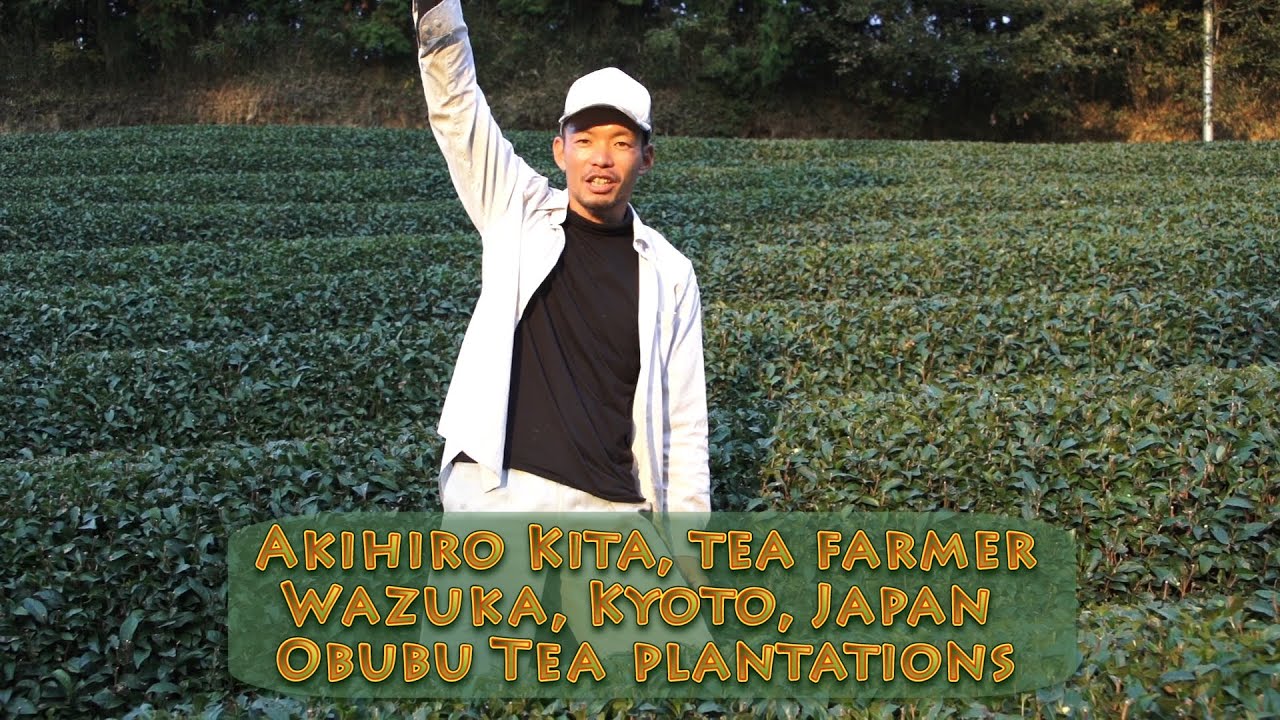 Kita Akihiro,  Kyoto Obubu Tea Plantations