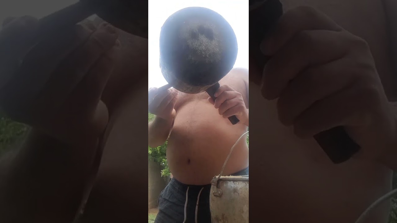 Cuidado dos animais 