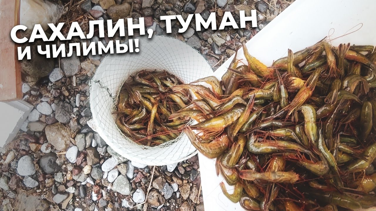 Сахалин, туман и чилимы!