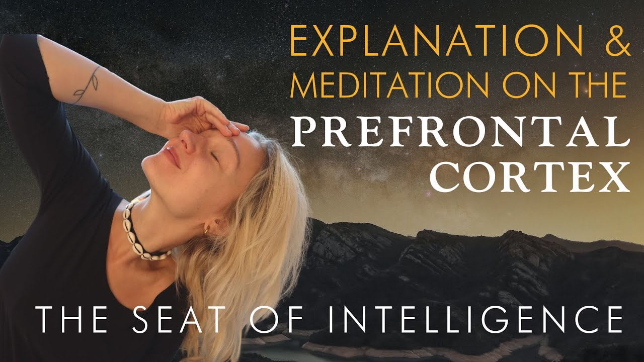 Brain Meditation | Prefrontal Cortex (Explanation + Guided Meditation)