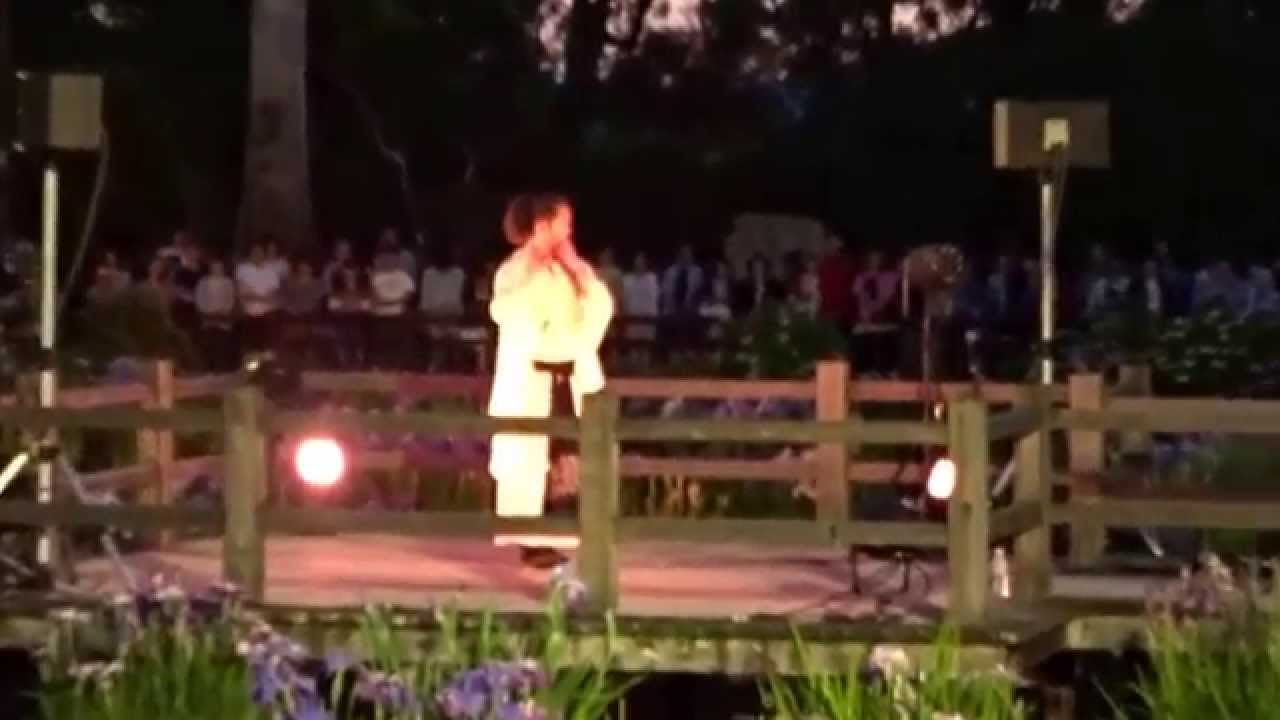 太宰府天満宮　菖蒲園　篠笛佐藤和哉「帰路の夕焼け」１０－８