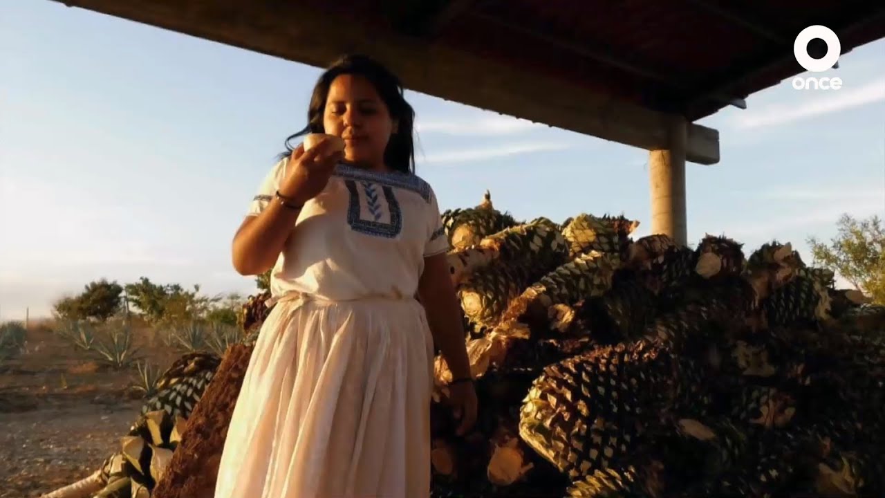 Factor Ciencia - Las mujeres del mezcal (09/01/2024)