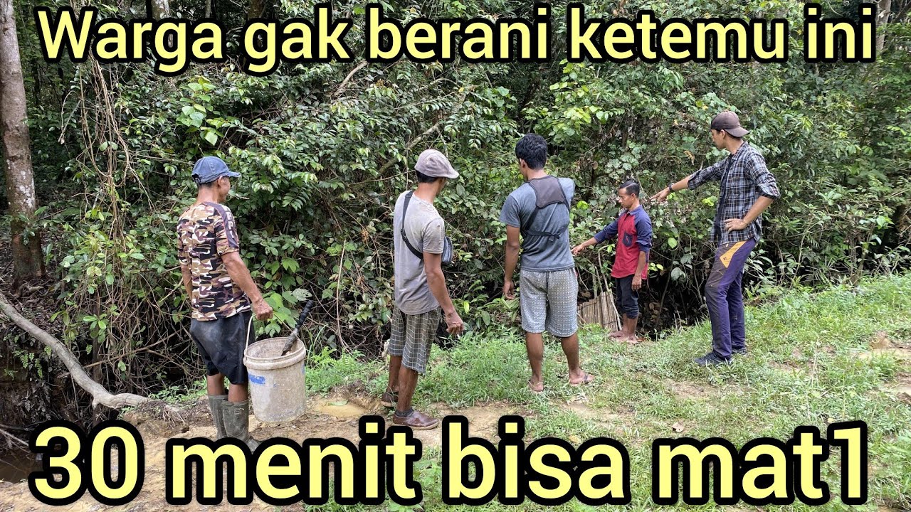 WARGA GEMPAR KEMUNCULAN ULAR RAJA PALING MENGERIK4N YANG DI TAKUT1 WARGA MASUK KE DALAM BUBU IKAN