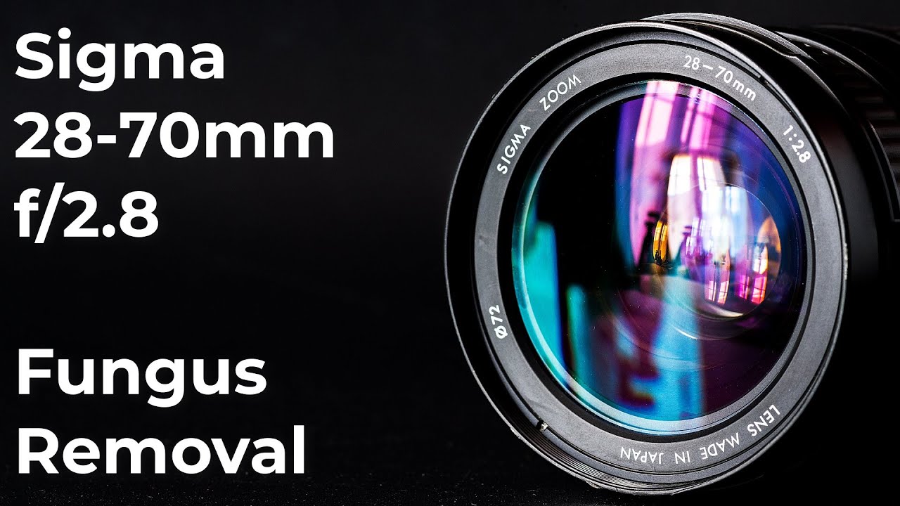 Sigma 28-70mm f/2.8: Очистка от грибка