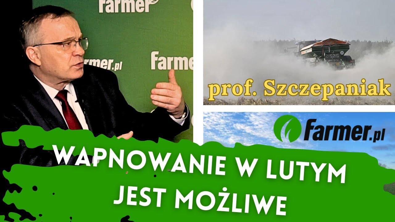 Wapnowanie w lutym jest możliwe. Na jakich zasadach? Radzi prof. Szczepaniak | Farmer.pl