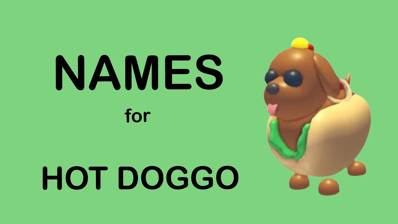NAMES FOR HOT DOGGO ADOPT ME!