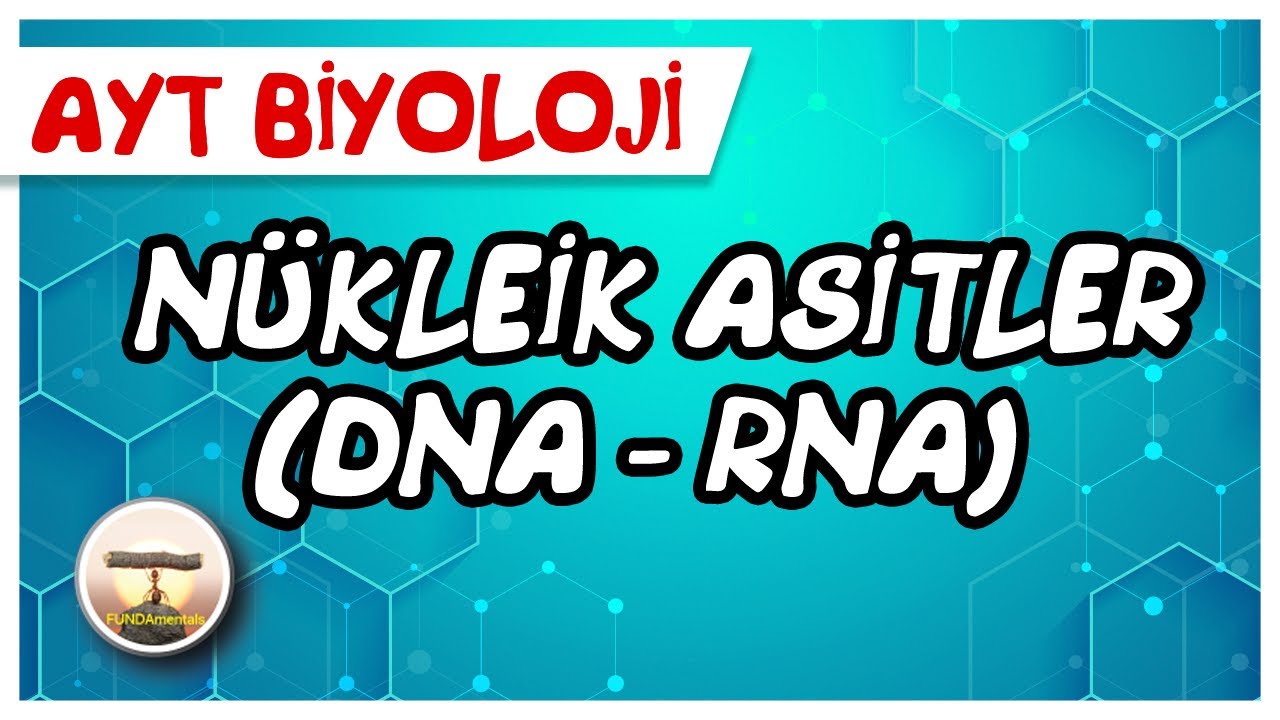 AYT Biyoloji /Nükleik Asitler (DNA -RNA) #sayfa134