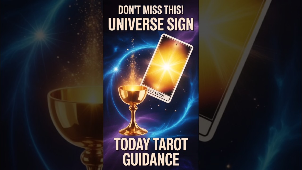 🌌 💫பிரபஞ்சத்தின் இந்த வாய்ப்பை தவற விடாதீர்கள் | Today Tarot Guidance 
